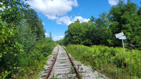 Almost The Whole Thing - 20240820_111315.jpg