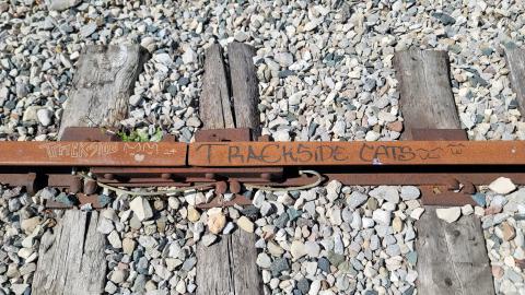 Almost The Whole Thing - 20240820_111535.jpg