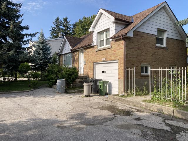 Confuzzled - IMG_4339.jpeg