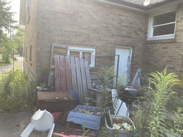 Confuzzled - IMG_4338.jpeg