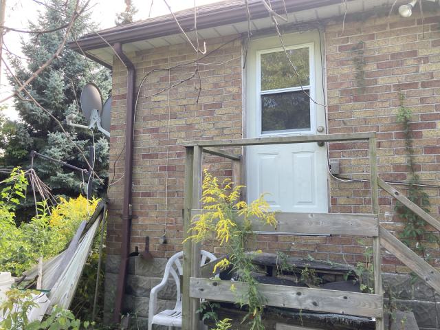 Confuzzled - IMG_4336.jpeg