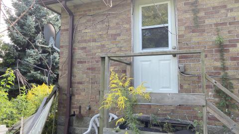 Photo from Confuzzled