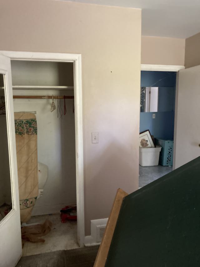 Confuzzled - IMG_4323.jpeg