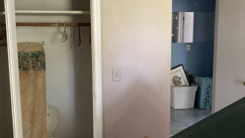 Confuzzled - IMG_4323.jpeg