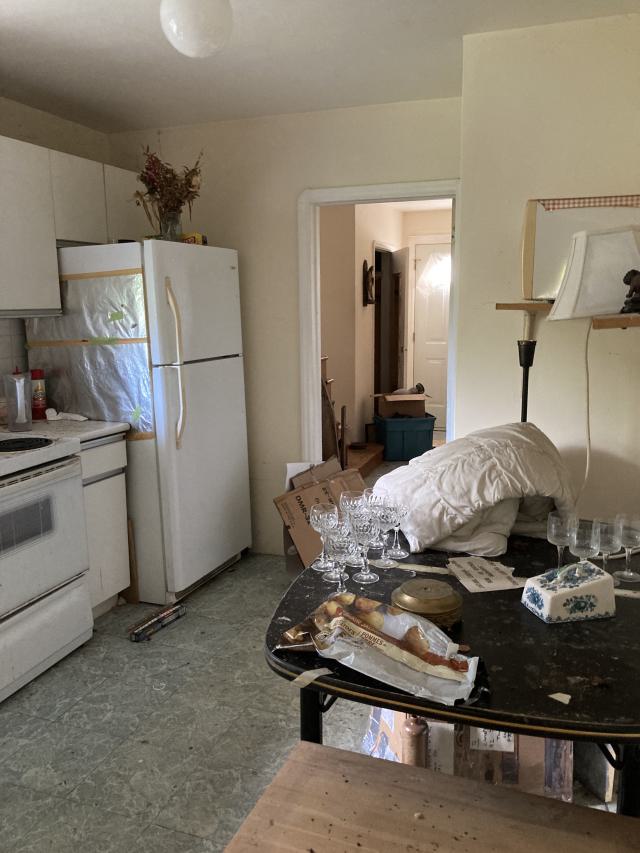 Confuzzled - IMG_4324.jpeg