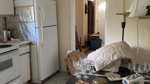 Confuzzled - IMG_4324.jpeg