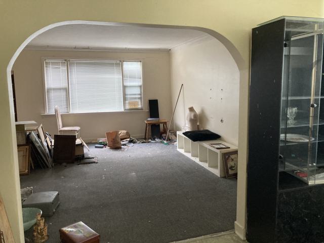 Confuzzled - IMG_4325.jpeg