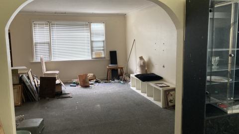 Confuzzled - IMG_4325.jpeg