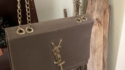 Confuzzled - IMG_4326.jpeg