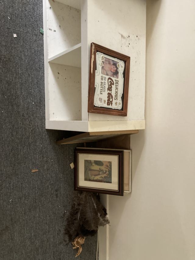 Confuzzled - IMG_4327.jpeg