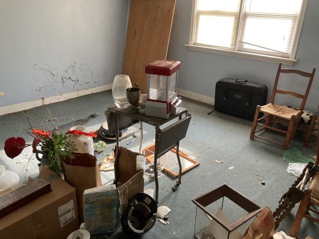 Confuzzled - IMG_4328.jpeg