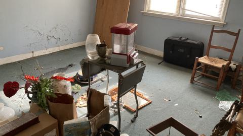 Confuzzled - IMG_4328.jpeg