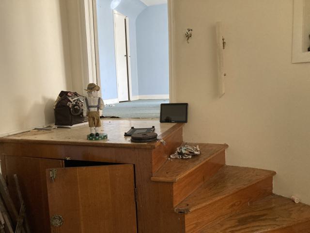 Confuzzled - IMG_4329.jpeg