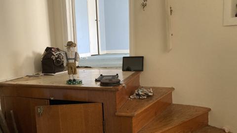 Confuzzled - IMG_4329.jpeg