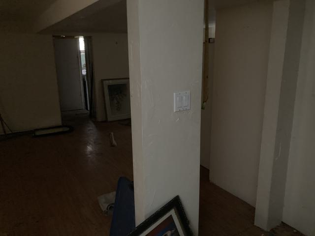 Confuzzled - IMG_4330.jpeg