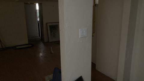 Confuzzled - IMG_4330.jpeg