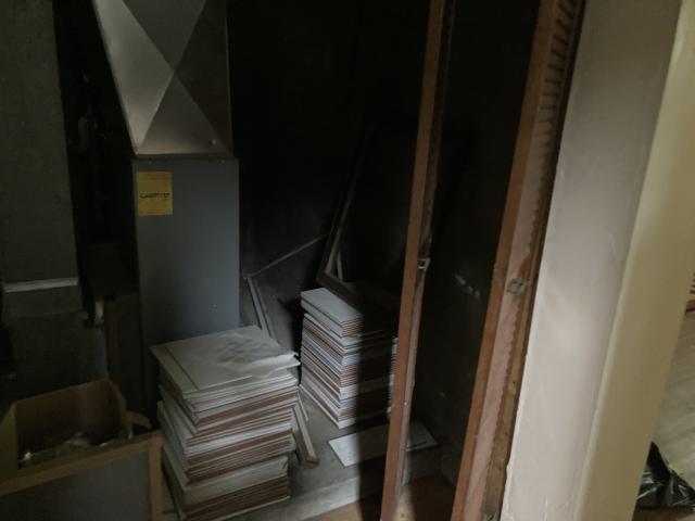 Confuzzled - IMG_4331.jpeg