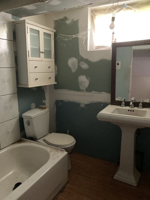 Confuzzled - IMG_4332.jpeg