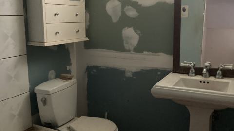 Confuzzled - IMG_4332.jpeg