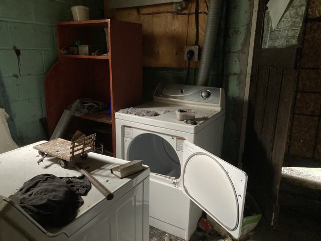 Confuzzled - IMG_4333.jpeg