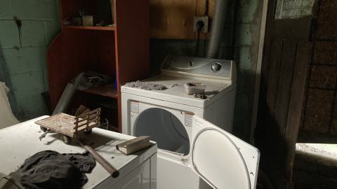 Confuzzled - IMG_4333.jpeg