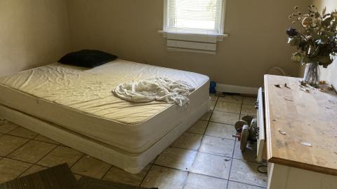 Confuzzled - IMG_4335.jpeg