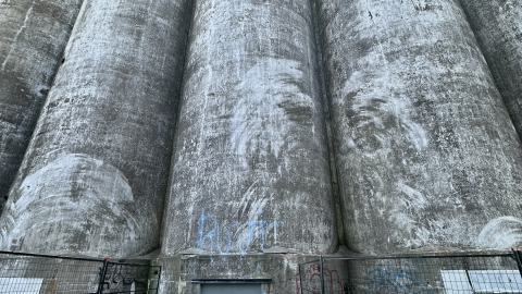 August 2024 Visit - IMG_7498.jpeg