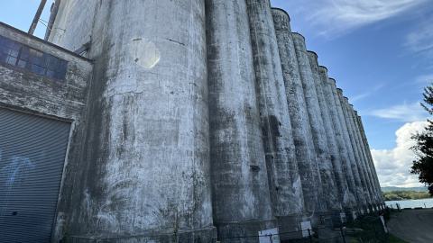 August 2024 Visit - IMG_7500.jpeg