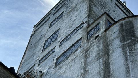 August 2024 Visit - IMG_7502.jpeg