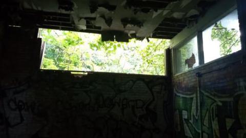 trees - 454739817_6367934143330431_4795825683263182135_n.jpg