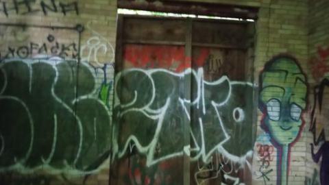 trees - 454434405_1674442350074128_1126218763761336269_n.jpg