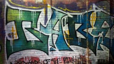 trees - 454789011_1199415771263419_5496246382962892891_n.jpg