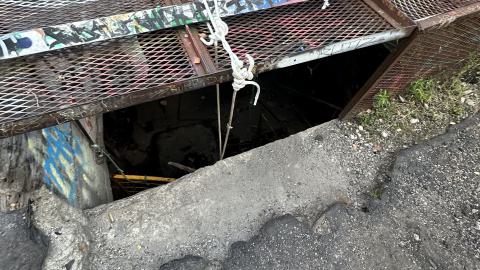 Blue skies - IMG_7543.jpeg