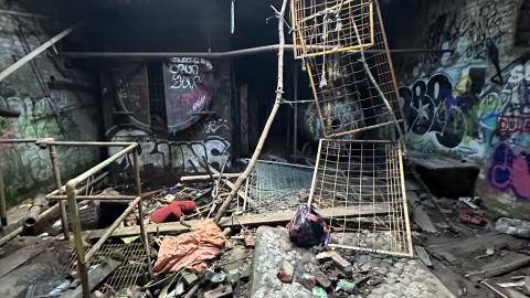 Blue skies - IMG_7544.jpeg