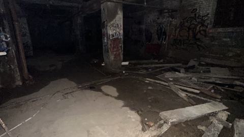 Blue skies - IMG_7545.jpeg