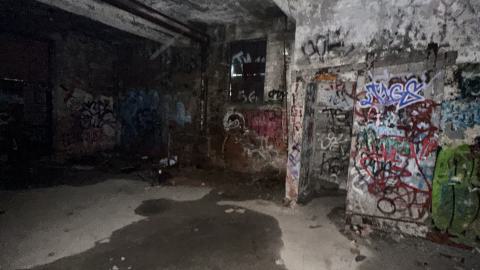 Blue skies - IMG_7548.jpeg