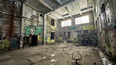 Blue skies - IMG_7550.jpeg