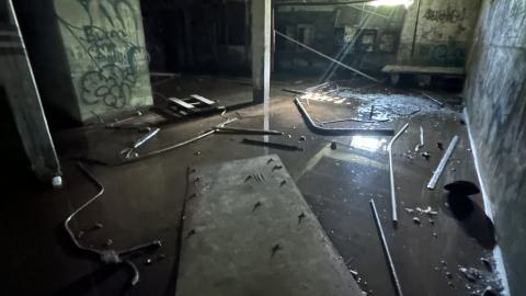 Blue skies - IMG_7557.jpeg