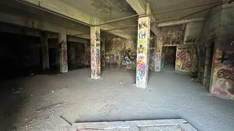 Blue skies - IMG_7558.jpeg