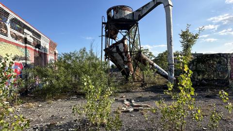 Blue skies - IMG_7563.jpeg