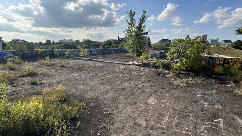 Blue skies - IMG_7569.jpeg