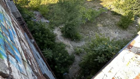 Blue skies - IMG_7572.jpeg