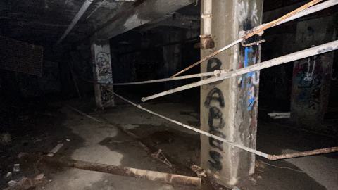 Blue skies - IMG_7581.jpeg