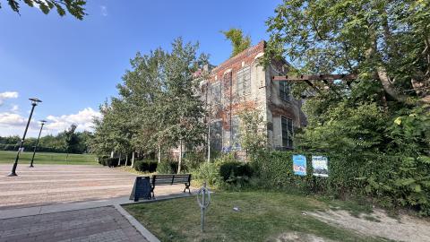 Blue skies - IMG_7585.jpeg