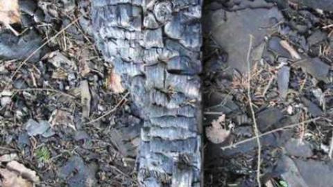 377 shaver Road - DSC04425.jpg