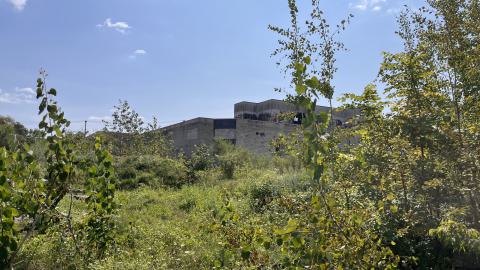 Robson Roof - IMG_0374.jpg