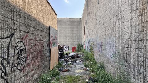 Robson Roof - IMG_0377.jpg