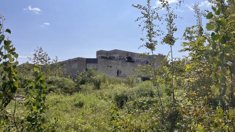 Robson Roof - IMG_0375.jpg