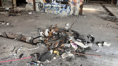 Robson Roof - IMG_0379.jpg