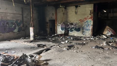 Robson Roof - IMG_0380.jpg